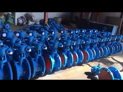 Van bướm bằng vít thép đúc WCB Triple Offset cho sử dụng nước, hơi nước và dầu