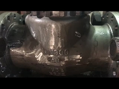 ASME API Standard WCB CF8 CF8M Swing Check Valve cho sử dụng hơi nước và dầu