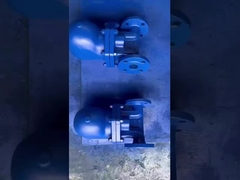 Thép đúc thép không gỉ WCB CF8 CF8M Level Ball Float Steam Trap Cho sử dụng hơi nước