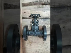 Thép đúc thép không gỉ Valve cổng giả mạo cho nước hơi nước dầu / chất lỏng ăn mòn