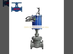 Z641H-16C Van cửa khí nén