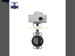 Van bướm wafer điện